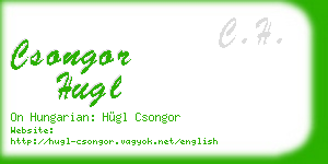 csongor hugl business card